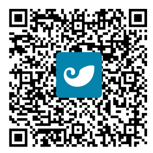 image6.png