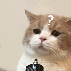 image1.png